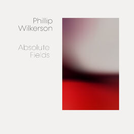Album cover of Absolute Fields