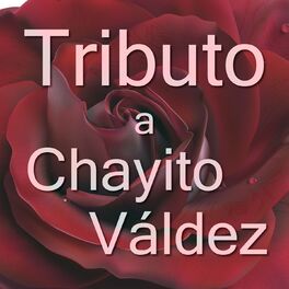Album cover of Tributo Chayito Valdez
