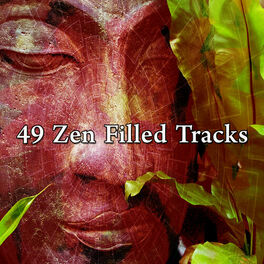 Album cover of 49 Zen Filled Tracks