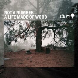 Album cover of A Life Made of Wood