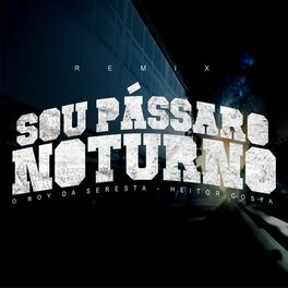 Album cover of Sou Pássaro Noturno