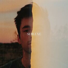 Album cover of Subluxe