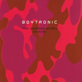Album cover of The Working Model (Reverse)