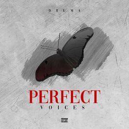 Album cover of Perfect Voices