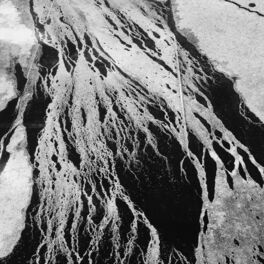 Album cover of Reigning Cement