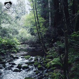 Album cover of Meet Me Where the River Turns Grey