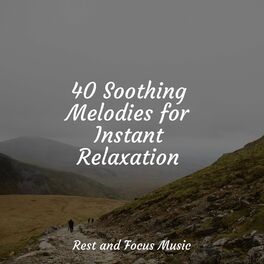 Album cover of 40 Soothing Melodies for Instant Relaxation