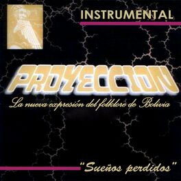 Album cover of Sueños Perdidos (Instrumental, La Nueva Expresion del Folklore de Bolivia)