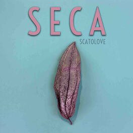 Album cover of Seca