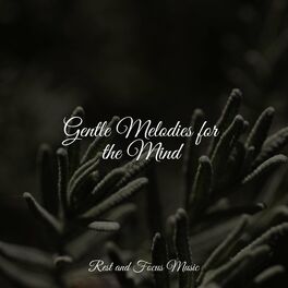Album cover of Gentle Melodies for the Mind