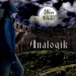 Album cover of Analogik