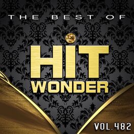 Album cover of Hit Wonder: The Best of, Vol. 482