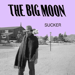 Album cover of Sucker