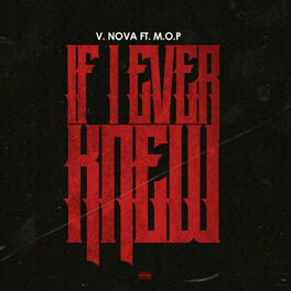 Album cover of If I Ever Knew