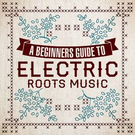 Album cover of A Beginners Guide To Electric Roots Music