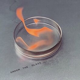 Album cover of Under The Glass
