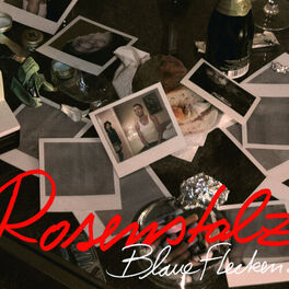 Album cover of Blaue Flecken - Die Fanmixe (Remix Parts)