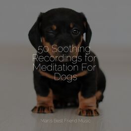 Album cover of 50 Soothing Recordings for Meditation For Dogs