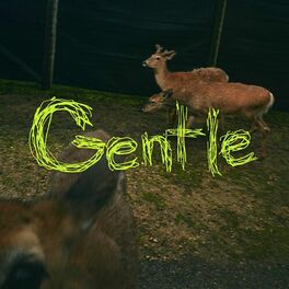 Album cover of Gentle (draag me Remix)