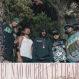 Album cover of Eu Não Queria Te Ligar