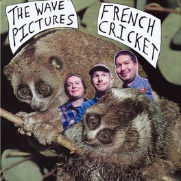 Album cover of French Cricket