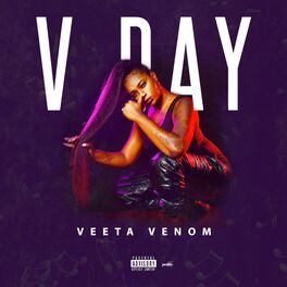 Album cover of V DAY