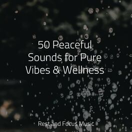 Album cover of 50 Peaceful Sounds for Pure Vibes & Wellness