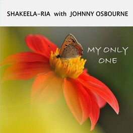 Album cover of MY ONLY ONE (RAPSO-REGGAE VERSION) (feat. JOHNNY OSBOURNE)
