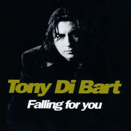 Album cover of Falling For You