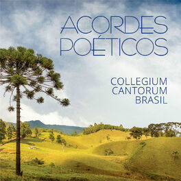 Album cover of Acordes Poéticos