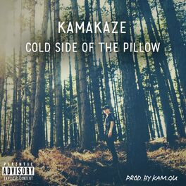 Album cover of Cold Side of the Pillow