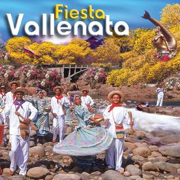 Album cover of Fiesta Vallenata vol. 26 2005