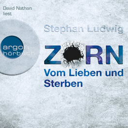Album cover of Vom Lieben und Sterben - Zorn, Band 2 (Gekürzte Fassung)