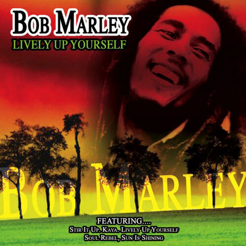 Bob Marley The Wailers Lively Up Yourself Chansons Et Paroles Deezer