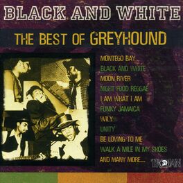 Album cover of Black and White - The Best of Greyhound