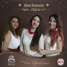 Album cover of Renovación, Vol. 2