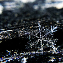 Album cover of A Season for Peace