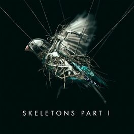 Album cover of Skeletons: Part 1