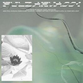 Album cover of PULZARVA001