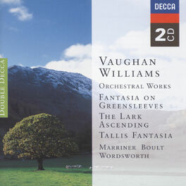 Album cover of Vaughan Williams: Orchestral Works