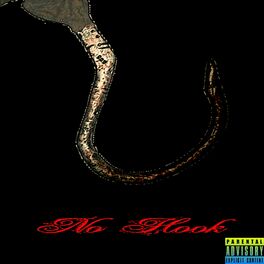 Album cover of No Hook (feat. Damn Jaz-Z & Big Country)