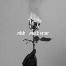 Album cover of Wish I Was Better