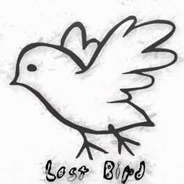 Album cover of Lost Bird