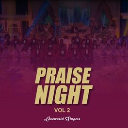 Album cover of Praise Night, Vol. 2