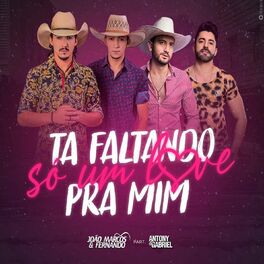 Album cover of Tá Faltando Só Um Love Pra mim