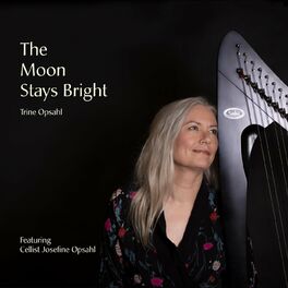 Album cover of The Moon Stays Bright
