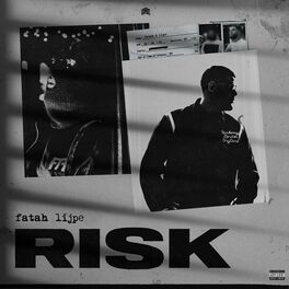 Album cover of Risk