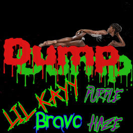 Album cover of Dump