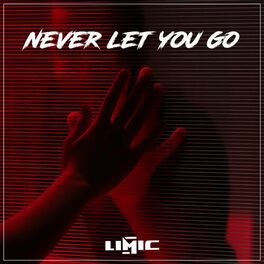 Album cover of Never let you go