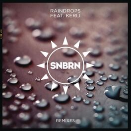 Album cover of Raindrops (feat. Kerli) (Remixes)
